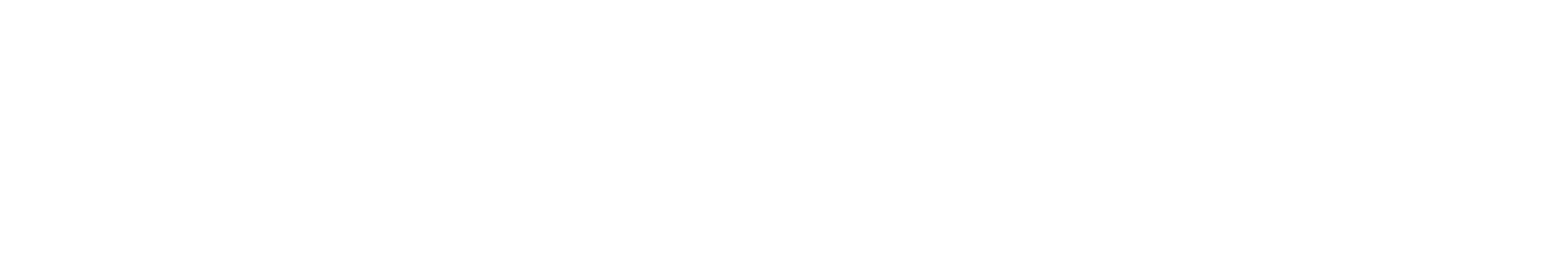 Babolat
